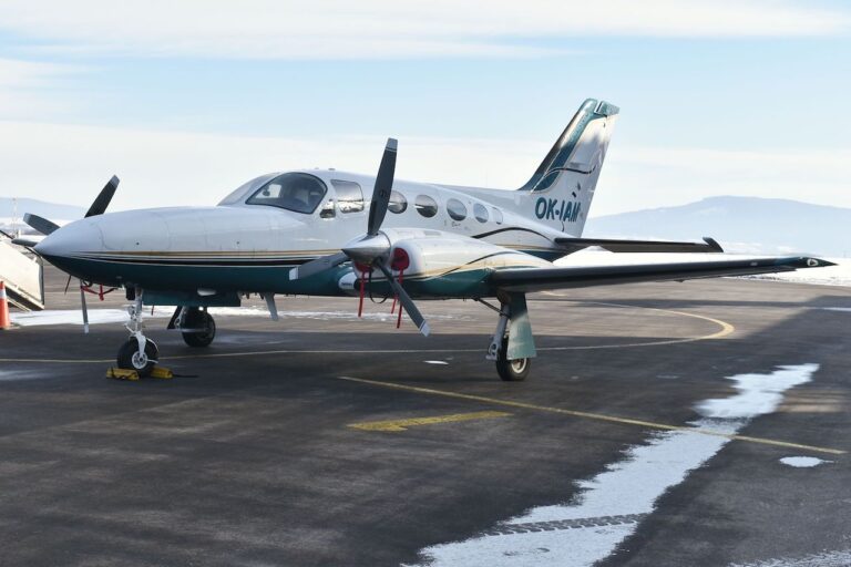 Priletel k nám zlatý orol