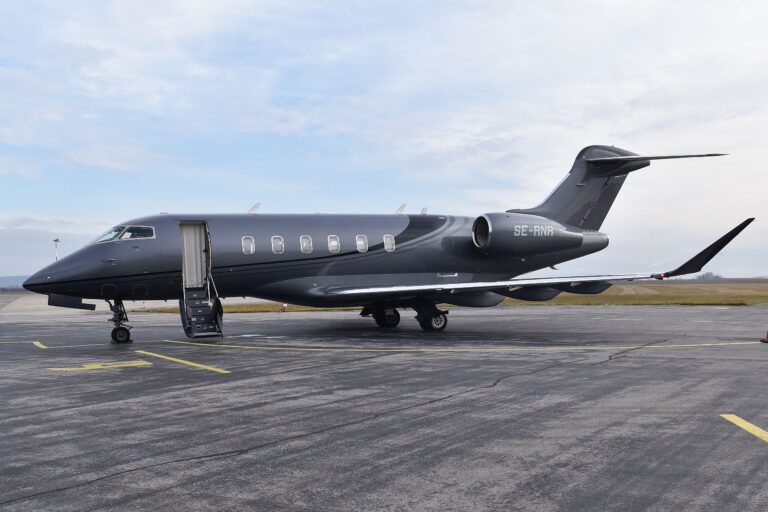 Priletel k nám švédsky „vyzývateľ”